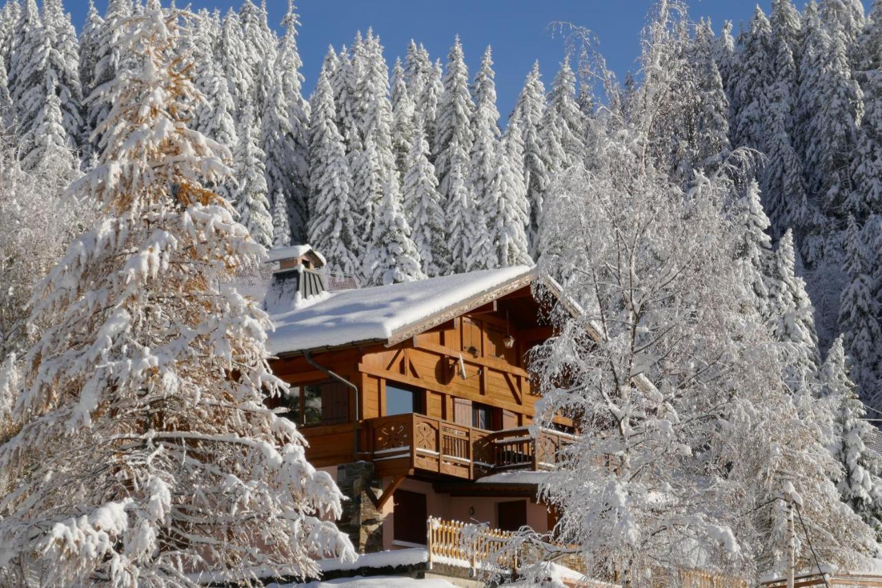 Les Saisies Cote Legette Appartement Dans Chalet Le Nepal Екстериор снимка